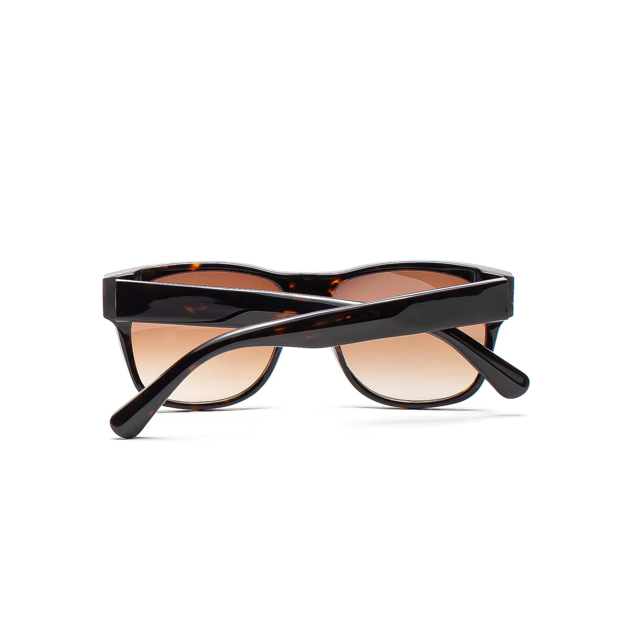 HOMME  HP003 Sunglasses Tortoise