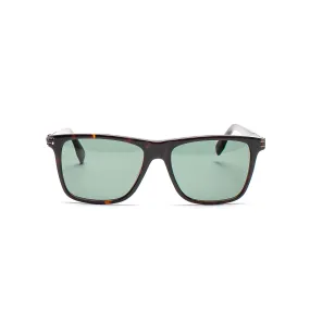 HOMME  HP008 Sunglasses Tortoise